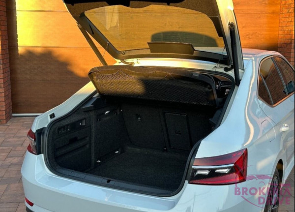 2.0 TDI SCR L&K 4x4 DSG_snimkaobrazovky2024-12-11125646.jpg