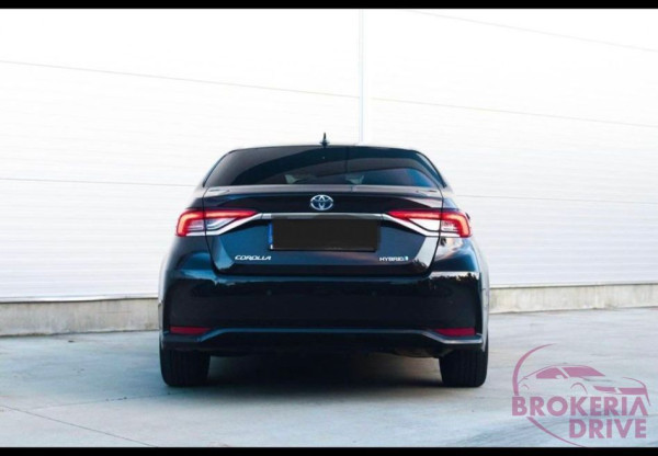 Sedan Hybrid _back.jpg