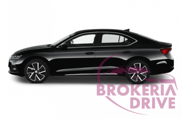 Škoda 2.0TDI Ambition