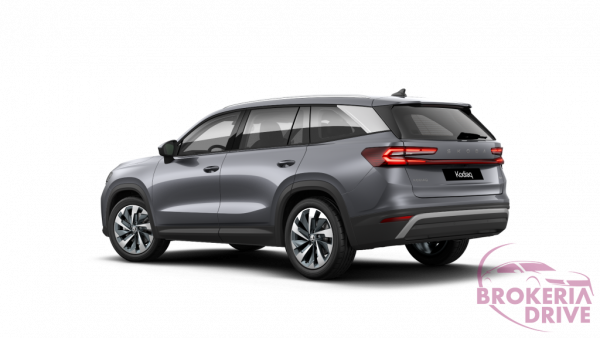 Škoda Top Selection 2.0 TDI 4x4