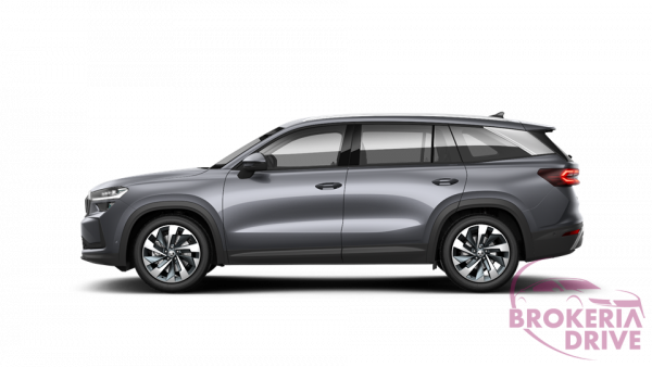 Škoda Top Selection 2.0 TDI 4x4