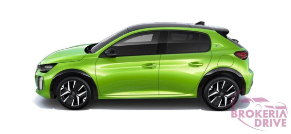 Peugeot Elektrický GT Electric 156k 51 kWh
